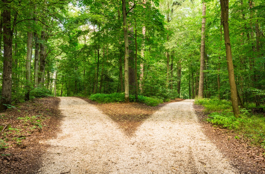 What Does The Divergence In The Road Signify In Real Life